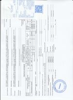 Кассовые чеки с подтверждением в Петергофе